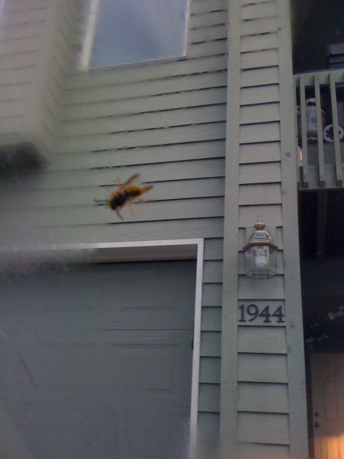 Fri Aug 28 2009 07:36:57 GMT+0000 (Coordinated Universal Time), Apple iPhone