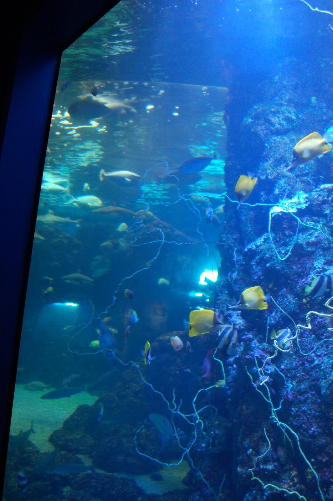 Tue Oct 12 2010 14:43:21 GMT+0000 (Coordinated Universal Time), NIKON CORPORATION NIKON D40