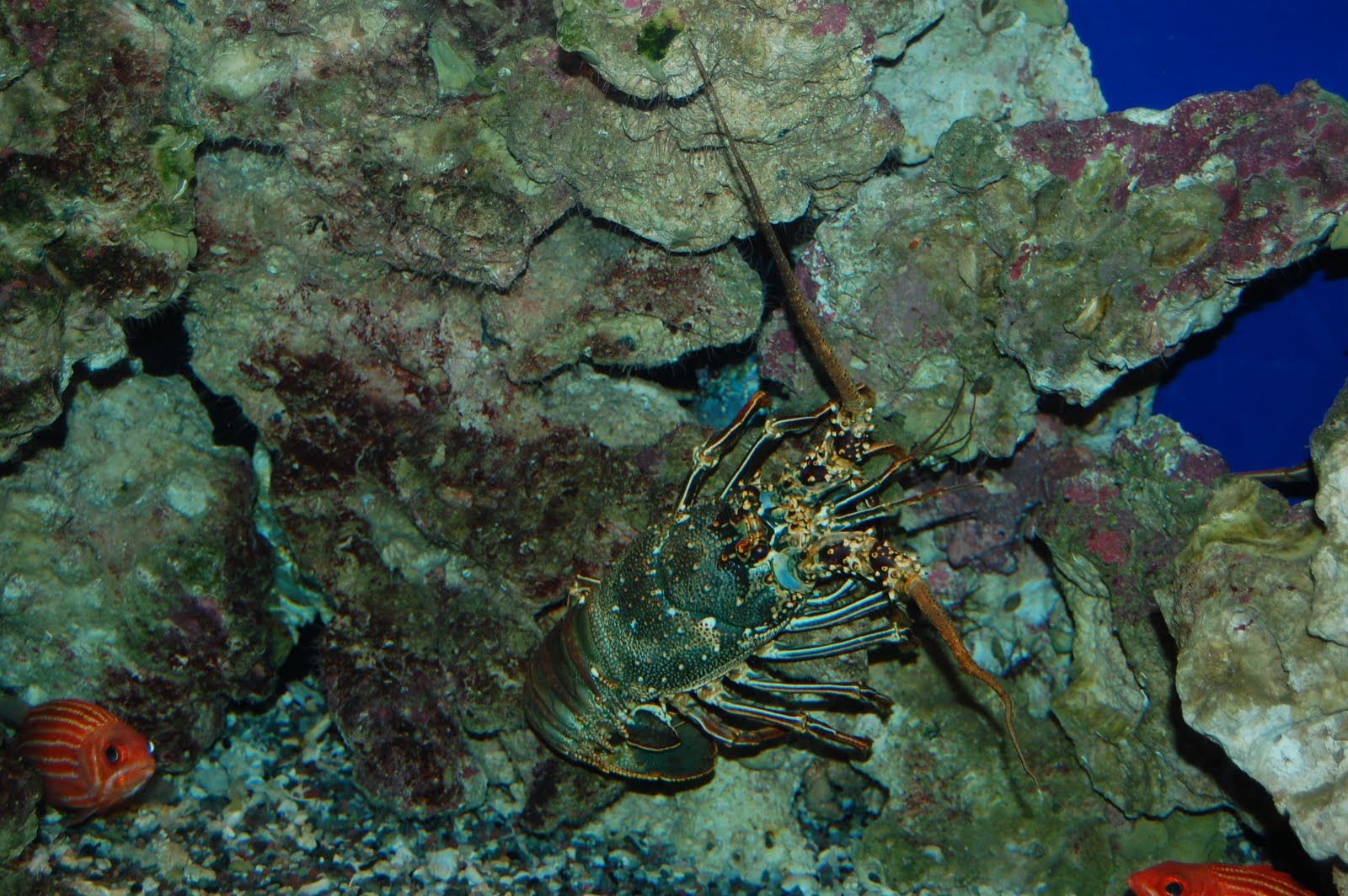 Tue Oct 12 2010 14:34:18 GMT+0000 (Coordinated Universal Time), NIKON CORPORATION NIKON D40