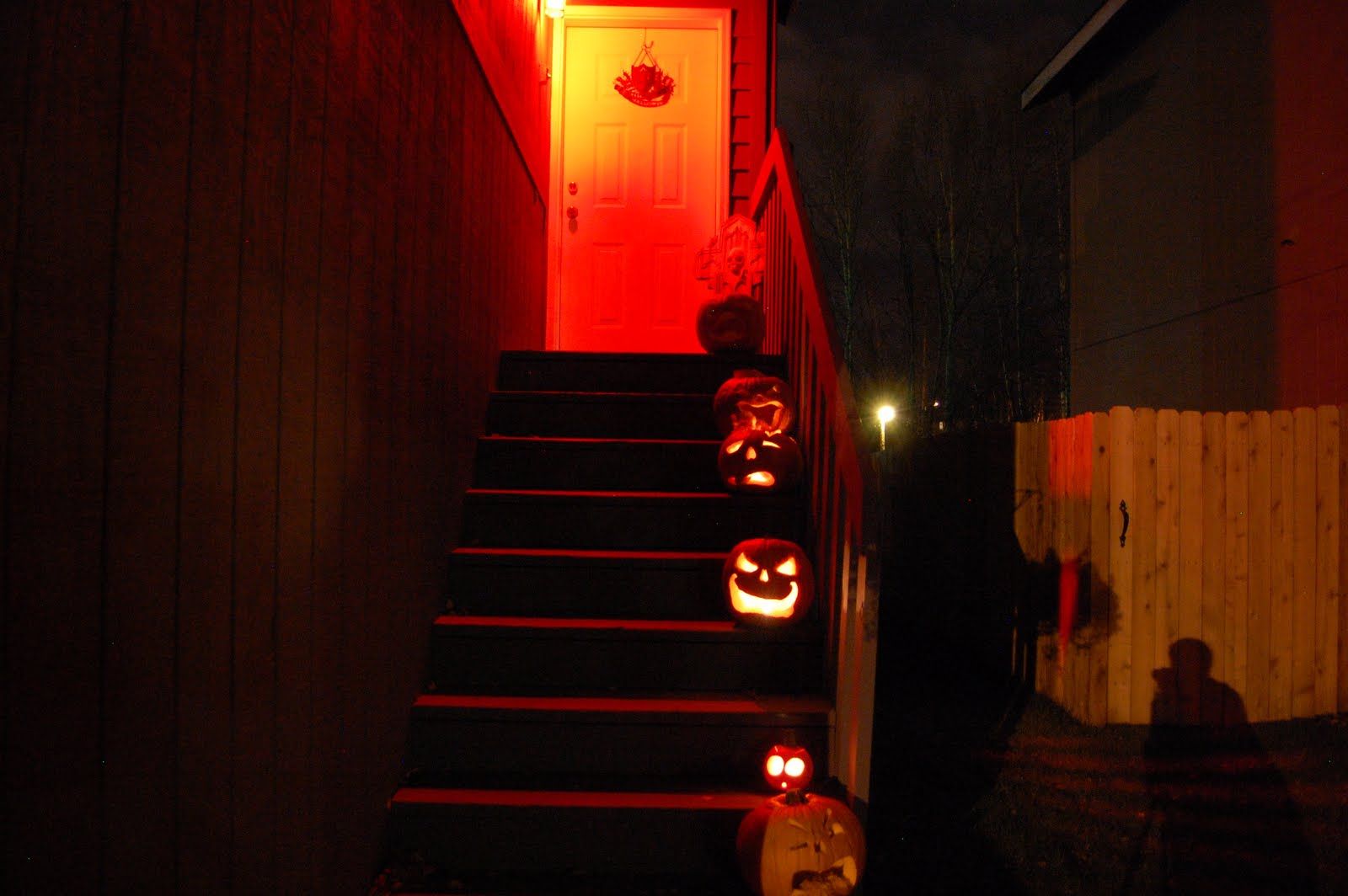 Sat Oct 30 2010 21:42:38 GMT+0000 (Coordinated Universal Time), NIKON CORPORATION NIKON D40