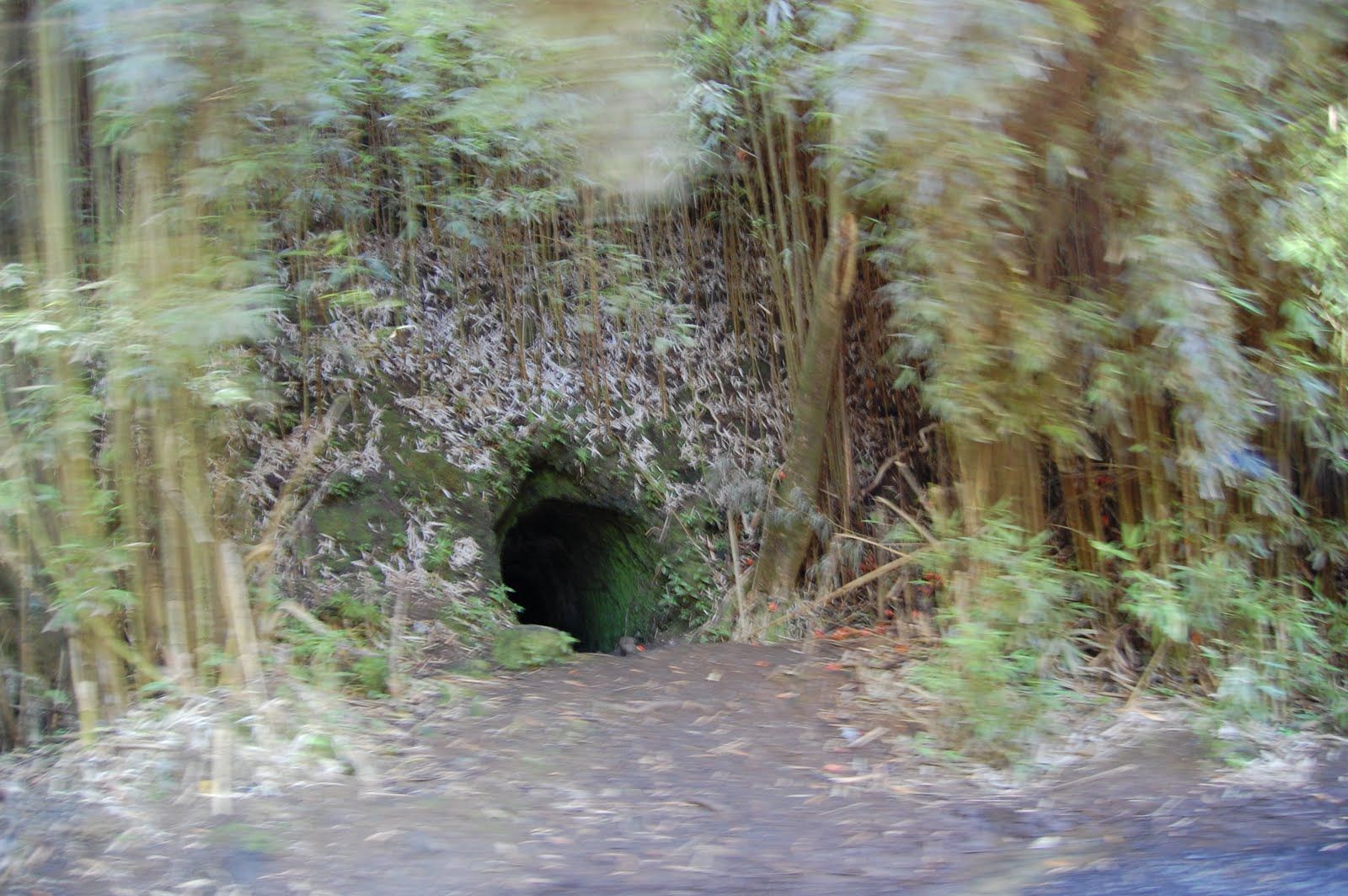 Thu Oct 14 2010 11:22:23 GMT+0000 (Coordinated Universal Time), NIKON CORPORATION NIKON D40