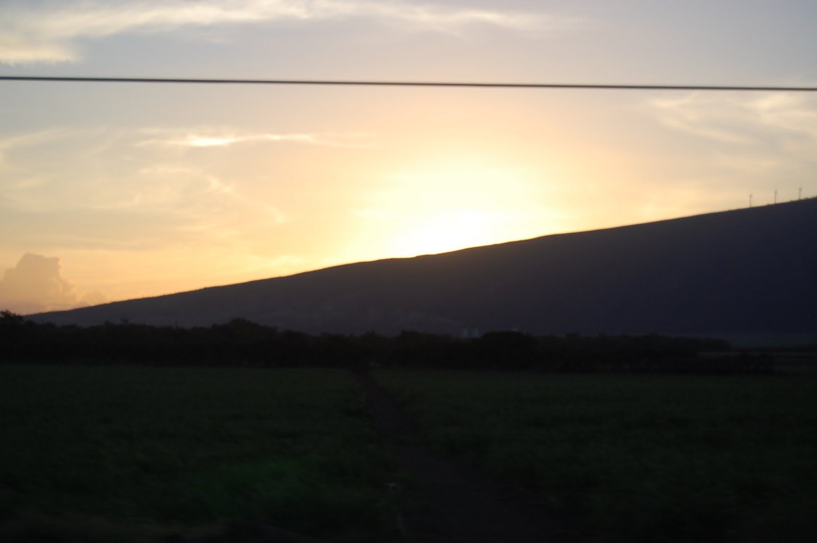 Thu Oct 14 2010 19:55:49 GMT+0000 (Coordinated Universal Time), NIKON CORPORATION NIKON D40
