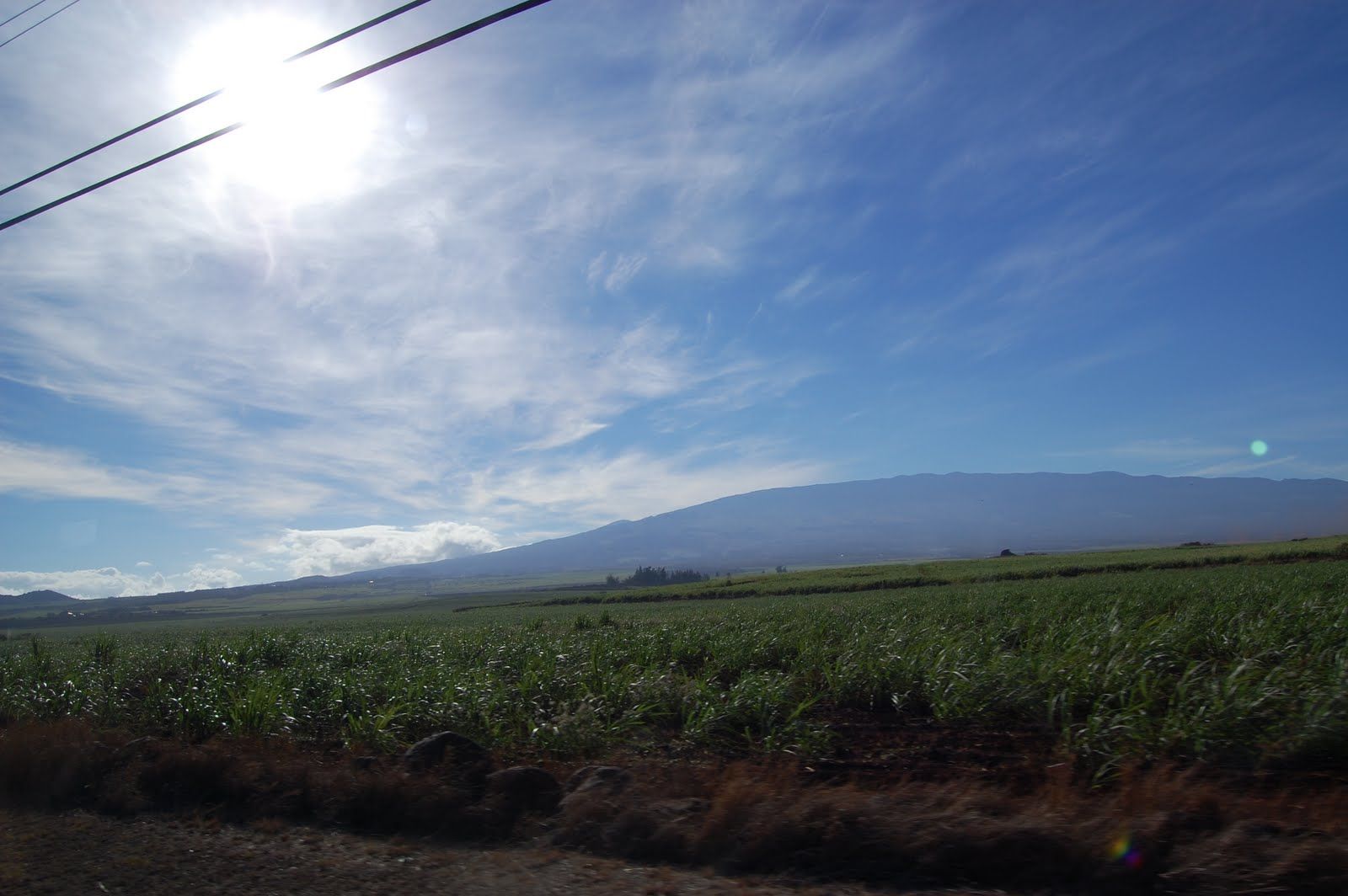 Thu Oct 14 2010 10:25:56 GMT+0000 (Coordinated Universal Time), NIKON CORPORATION NIKON D40