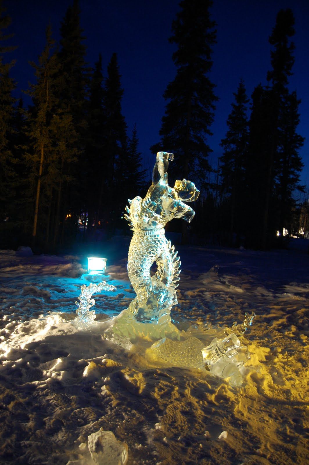 Fri Mar 18 2011 21:14:56 GMT+0000 (Coordinated Universal Time), NIKON CORPORATION NIKON D40
