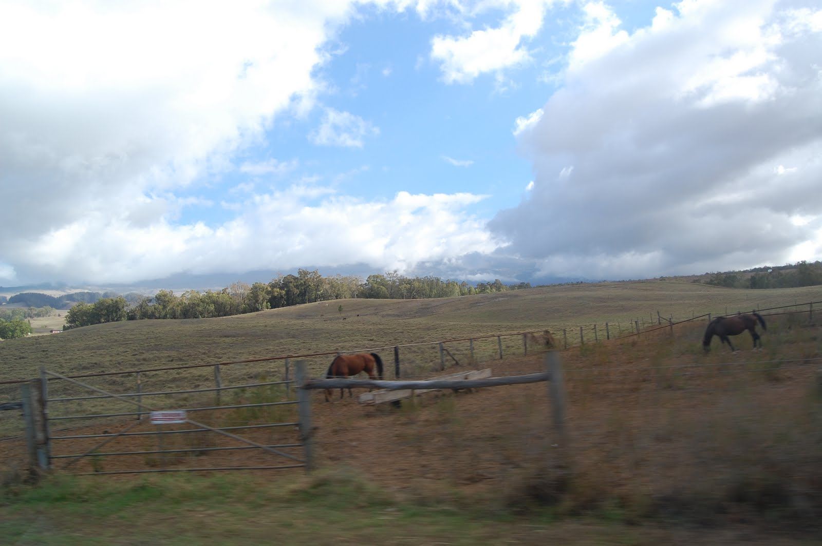Fri Oct 15 2010 18:12:12 GMT+0000 (Coordinated Universal Time), NIKON CORPORATION NIKON D40