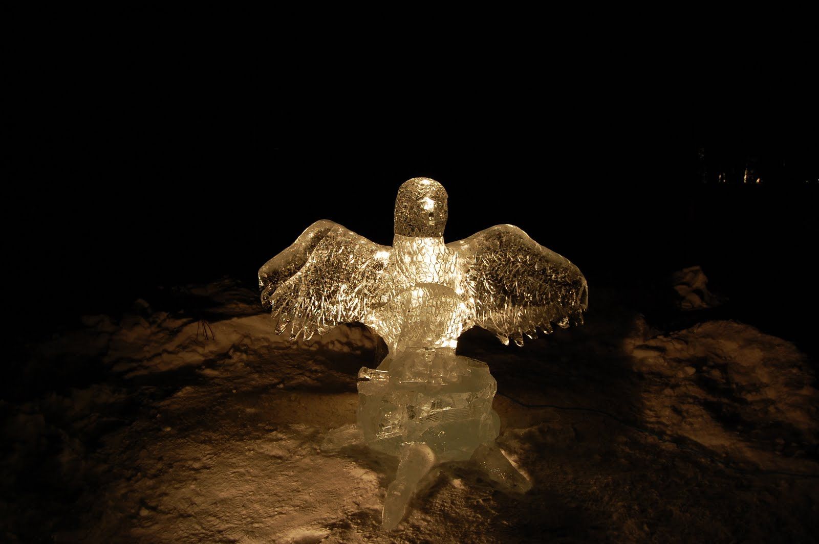 Fri Mar 18 2011 21:21:41 GMT+0000 (Coordinated Universal Time), NIKON CORPORATION NIKON D40