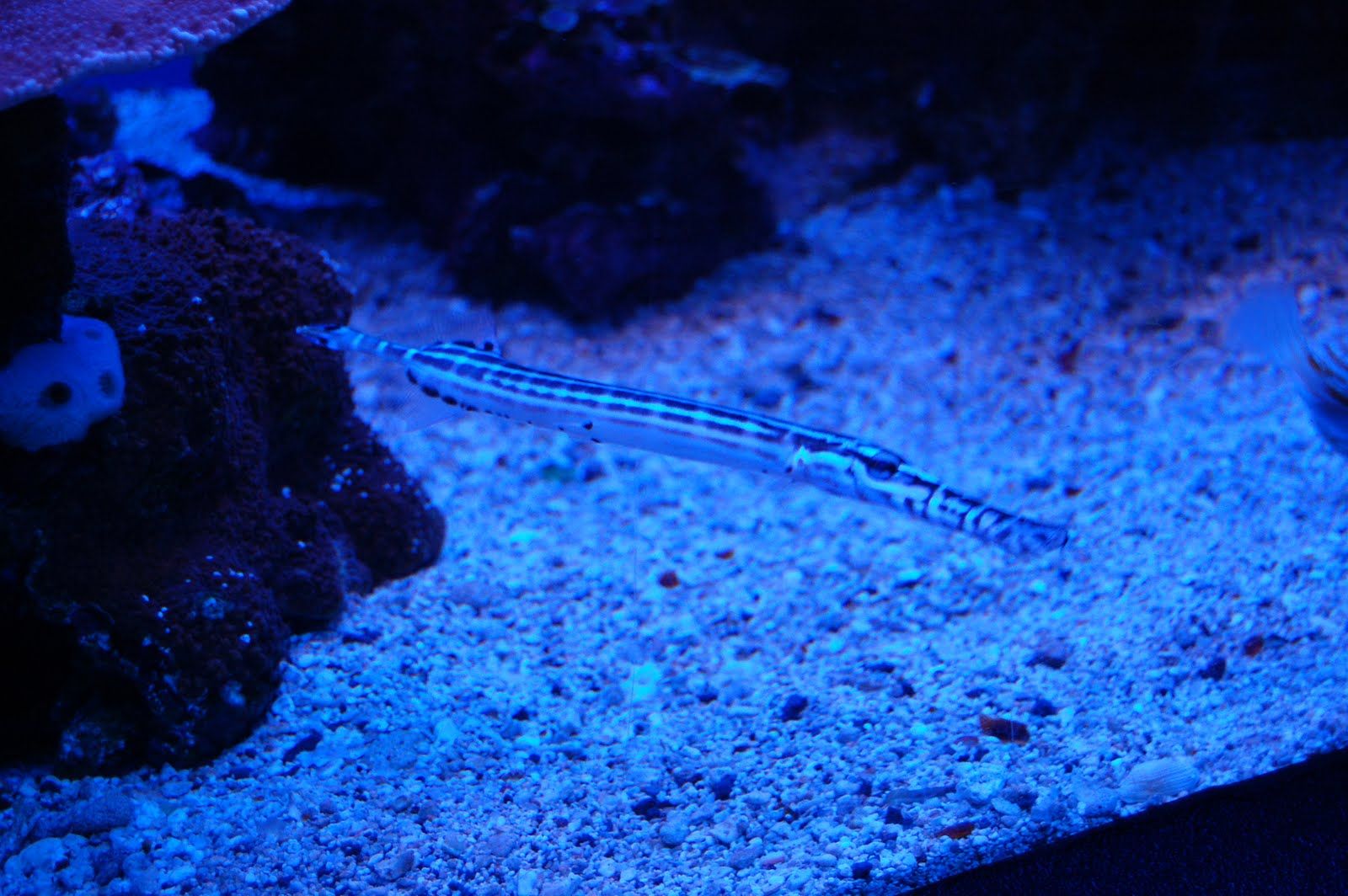 Tue Oct 12 2010 14:24:44 GMT+0000 (Coordinated Universal Time), NIKON CORPORATION NIKON D40