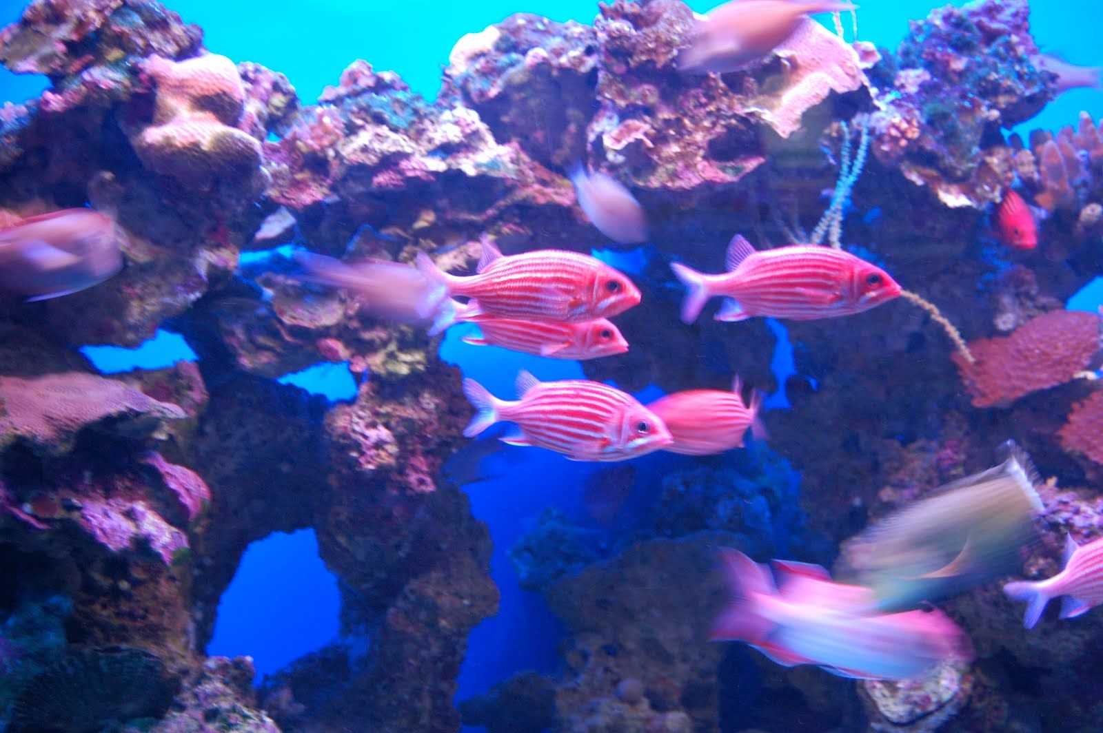 Tue Oct 12 2010 14:44:09 GMT+0000 (Coordinated Universal Time), NIKON CORPORATION NIKON D40